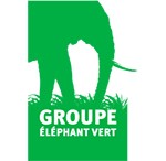 Elephant vert