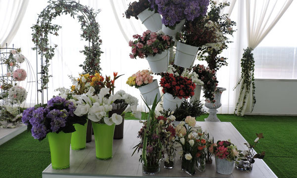 Pots et plantes Florabora - Showroom Florabora Maroc Pots et plantes Florabora - Showroom Florabora Maroc