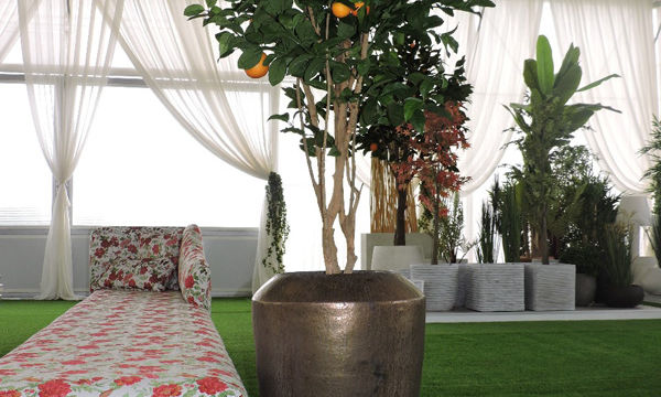 Pots et plantes Florabora - Showroom Florabora Maroc Pots et plantes Florabora - Showroom Florabora Maroc