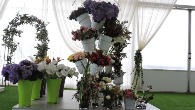 Pots et plantes Florabora - Showroom Florabora Maroc Pots et plantes Florabora - Showroom Florabora Maroc