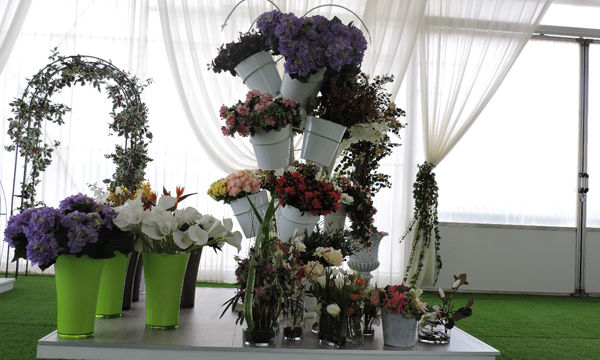 Pots et plantes Florabora - Showroom Florabora Maroc Pots et plantes Florabora - Showroom Florabora Maroc