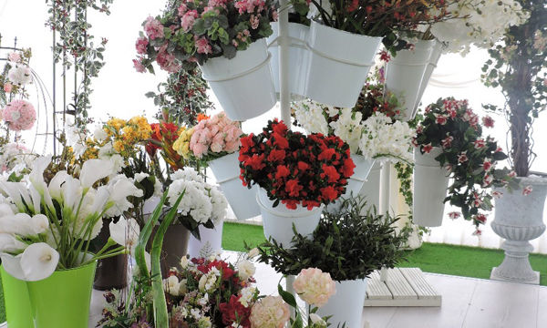 Pots et plantes Florabora - Showroom Florabora Maroc Pots et plantes Florabora - Showroom Florabora Maroc