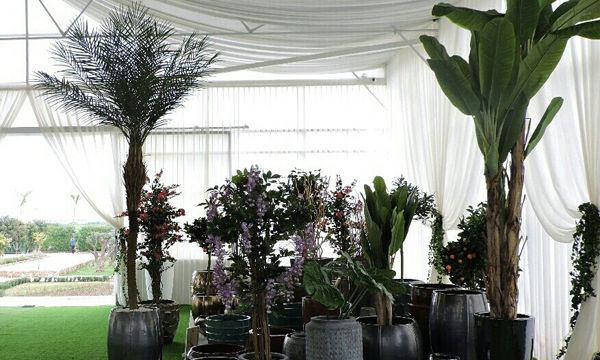 Pots et plantes Florabora - Showroom Florabora Maroc Pots et plantes Florabora - Showroom Florabora Maroc