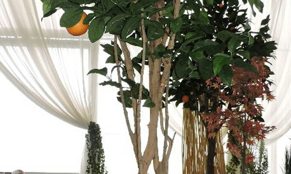 Pots et plantes Florabora - Showroom Florabora Maroc Pots et plantes Florabora - Showroom Florabora Maroc