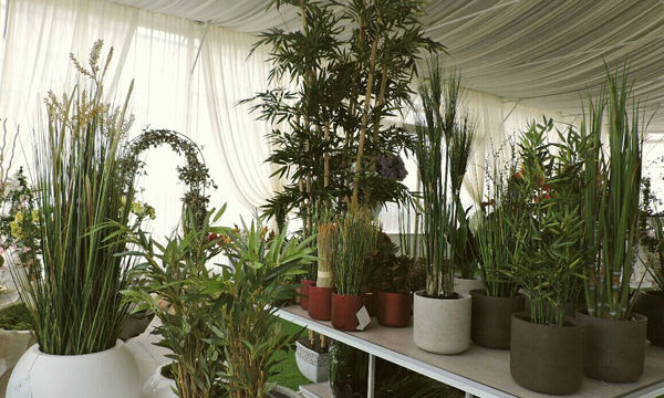 Pots et plantes Florabora - Showroom Florabora Maroc Pots et plantes Florabora - Showroom Florabora Maroc
