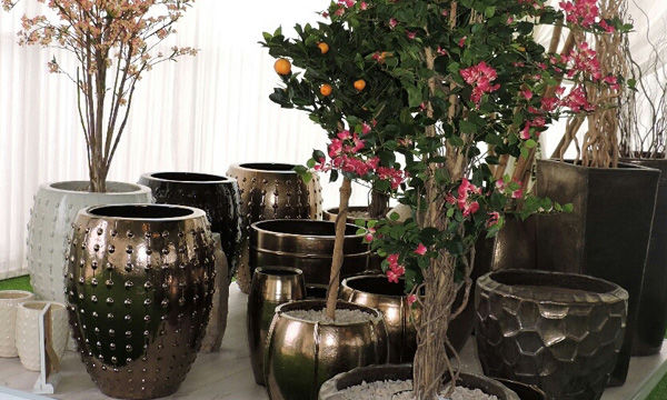 Pots et plantes Florabora - Showroom Florabora Maroc Pots et plantes Florabora - Showroom Florabora Maroc