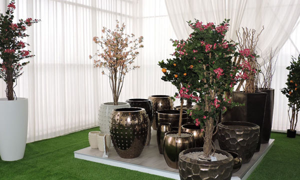 Pots et plantes Florabora - Showroom Florabora Maroc Pots et plantes Florabora - Showroom Florabora Maroc