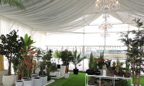 Pots et plantes Florabora - Showroom Florabora Maroc Pots et plantes Florabora - Showroom Florabora Maroc