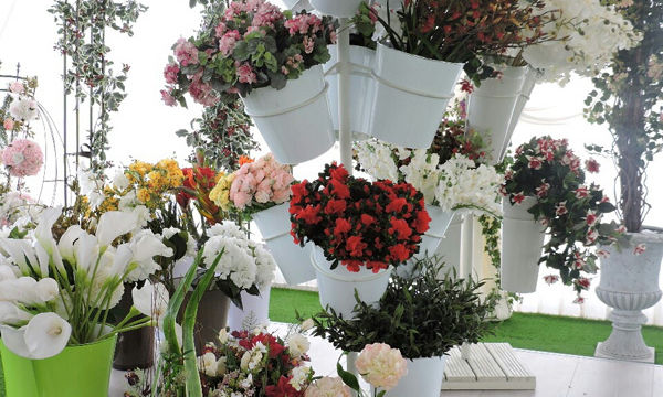 Pots et plantes Florabora - Showroom Florabora Maroc Pots et plantes Florabora - Showroom Florabora Maroc