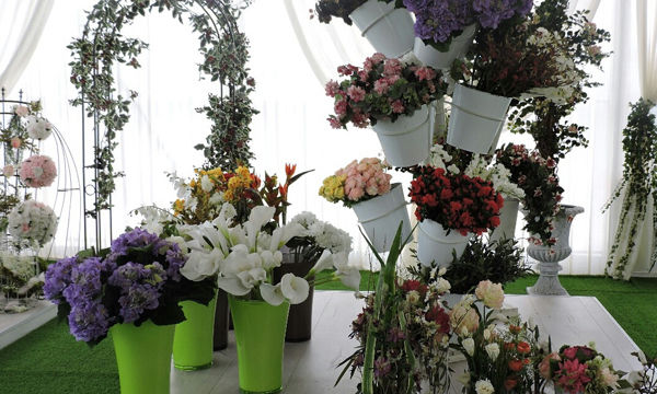 Pots et plantes Florabora - Showroom Florabora Maroc Pots et plantes Florabora - Showroom Florabora Maroc