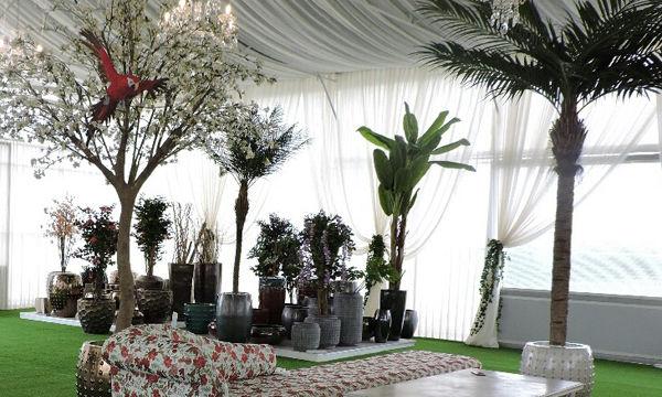 Pots et plantes Florabora - Showroom Florabora Maroc Pots et plantes Florabora - Showroom Florabora Maroc