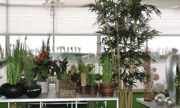 Pots et plantes Florabora - Showroom Florabora Maroc Pots et plantes Florabora - Showroom Florabora Maroc