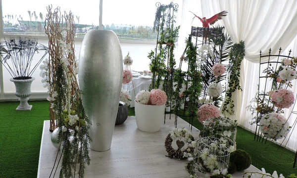 Pots et plantes Florabora - Showroom Florabora Maroc Pots et plantes Florabora - Showroom Florabora Maroc