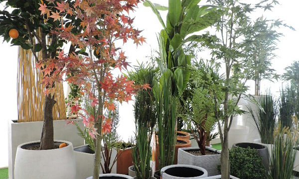 Pots et plantes Florabora - Showroom Florabora Maroc Pots et plantes Florabora - Showroom Florabora Maroc