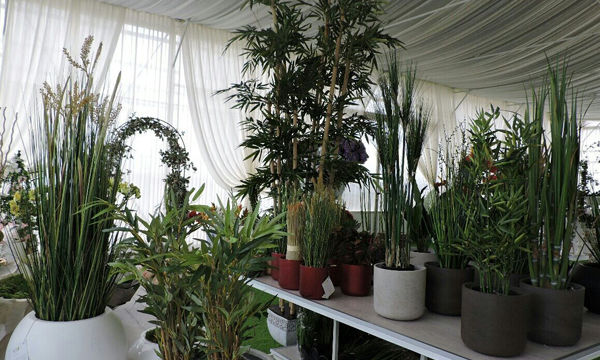 Pots et plantes Florabora - Showroom Florabora Maroc Pots et plantes Florabora - Showroom Florabora Maroc