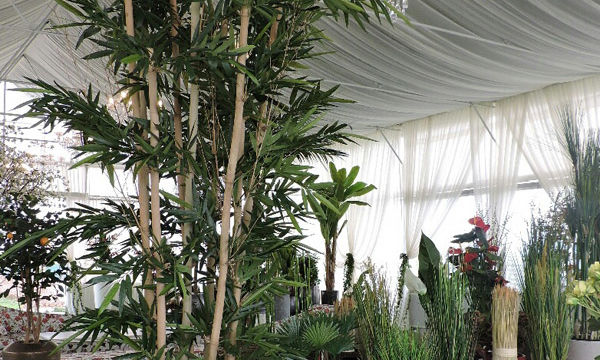 Pots et plantes Florabora - Showroom Florabora Maroc Pots et plantes Florabora - Showroom Florabora Maroc