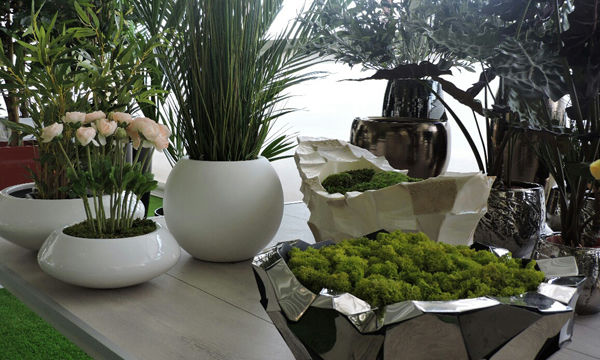 Pots et plantes Florabora - Showroom Florabora Maroc Pots et plantes Florabora - Showroom Florabora Maroc