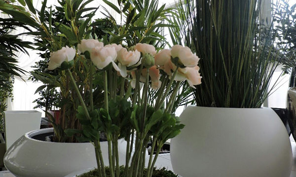 Pots et plantes Florabora - Showroom Florabora Maroc Pots et plantes Florabora - Showroom Florabora Maroc