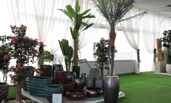 Pots et plantes Florabora - Showroom Florabora Maroc Pots et plantes Florabora - Showroom Florabora Maroc