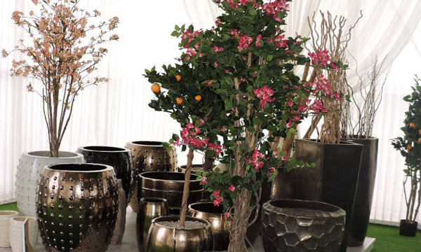 Pots et plantes Florabora - Showroom Florabora Maroc Pots et plantes Florabora - Showroom Florabora Maroc